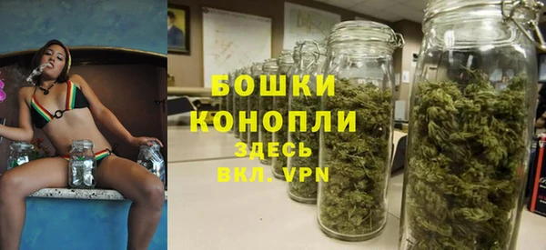 Альфа ПВП Дмитровск