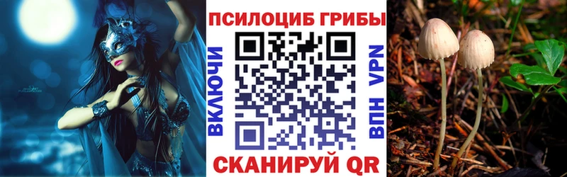 Купить закладки  Муравленко  Галлюциногенные грибы ЛСД 